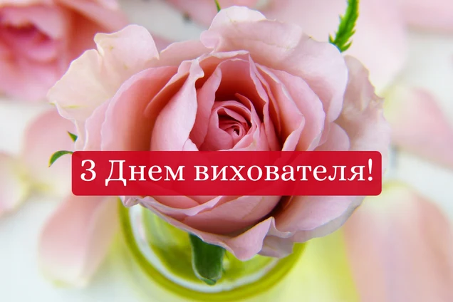Роза в квітці з привітанням дошкільному працівнику