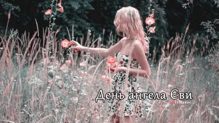 Блондинка в полі з квітами на фоні лісу