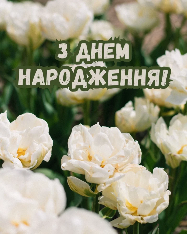 Білі тюльпани з привітанням з днем народження українською.