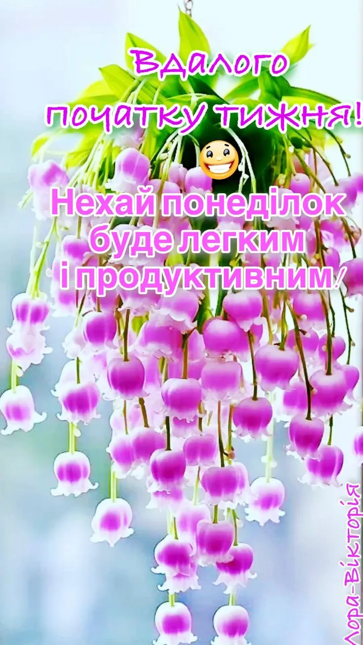 Квіти та привітання на гарний понеділок