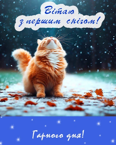 Кіт на сніжному подвір'ї з листям та привітанням.