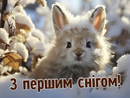 Мішка в снігу з написом про перший сніг.