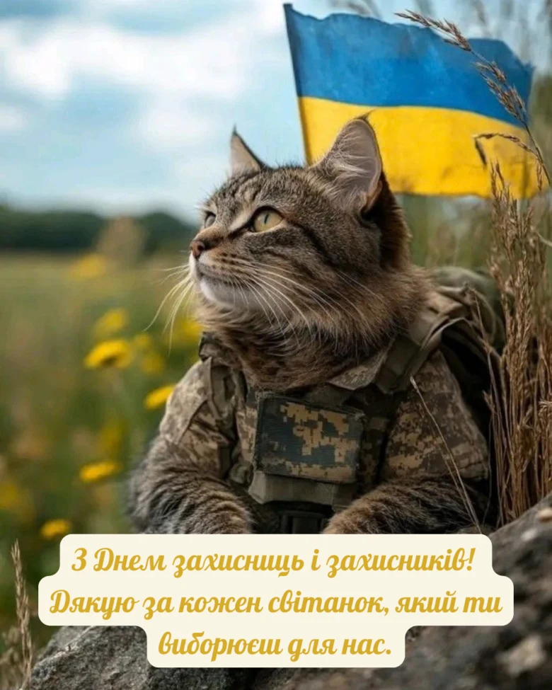 Кіт у військовій формі з прапором України та подякою захисникам.