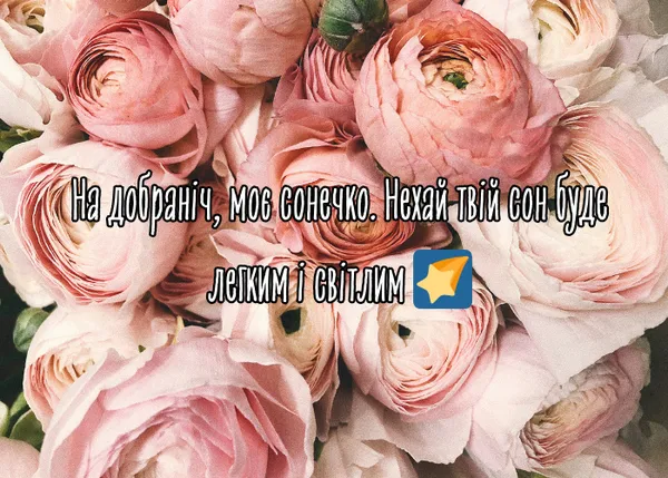Розові квіти з побажанням добраніч українською мовою.