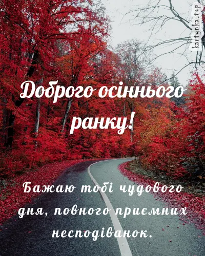 Дорога в осінньому лісі з червоними листям та привітанням.